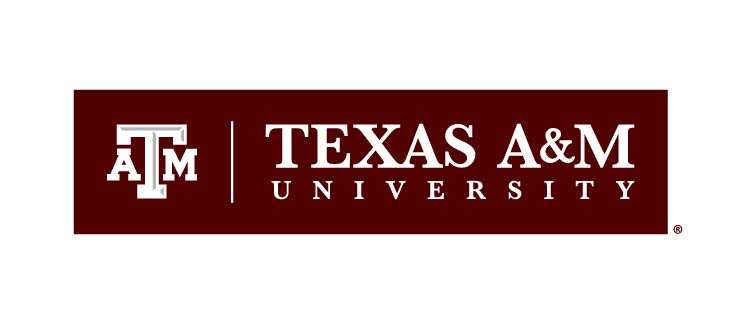 Tenured/Tenure-Track: Open Rank (Texas A&M University)